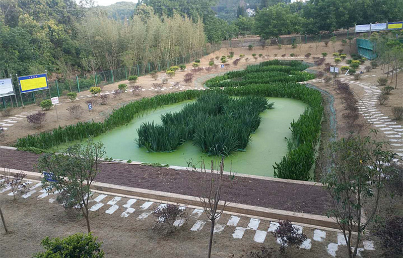 2017年度小灣電站庫區生態(tài)環(huán)境保護蕨菜村建設項目（二期）