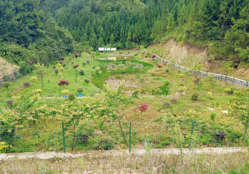 騰沖市中和鎮新岐社區傳統村落環(huán)境綜合治理項目